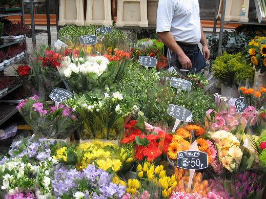 flores2.jpg