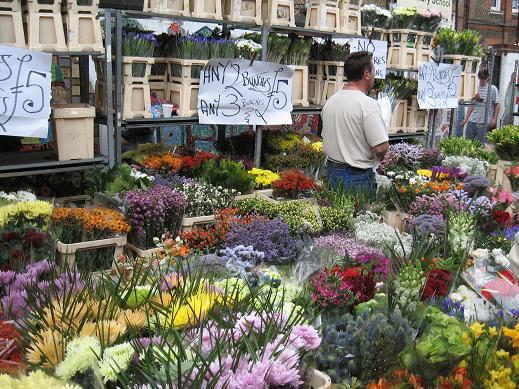 flores3.jpg