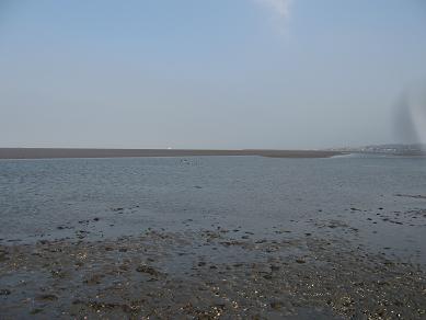 orilla.jpg