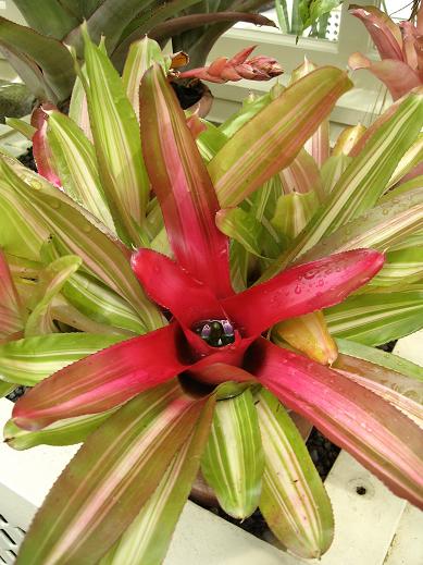 planta1.jpg