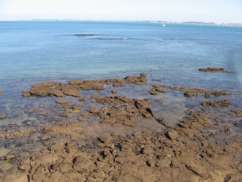 rocas