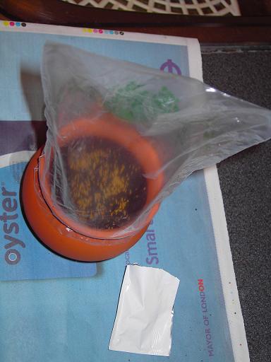 Resultado paso 9.jpg