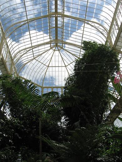 palmhouse.jpg