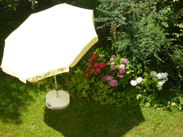 Hortensias a la sombra