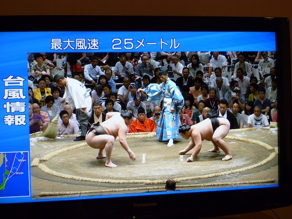 sumo