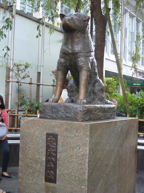 Hachiko 1