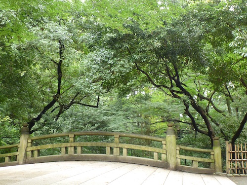 Meiji Jingu 4